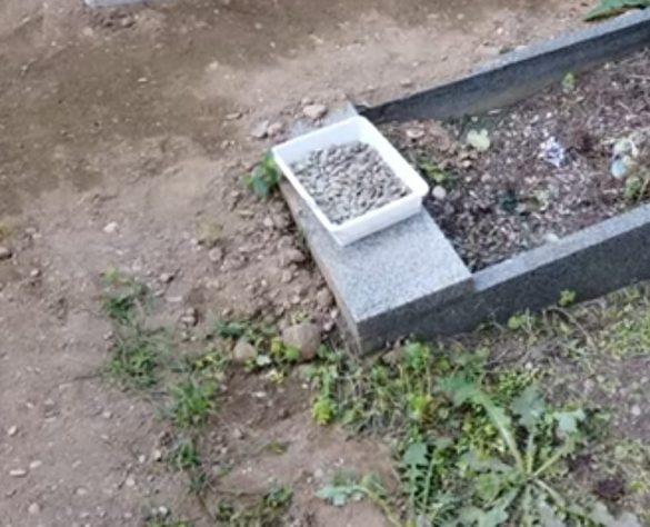 cimitero 3