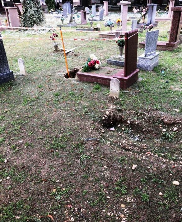 cimitero 5